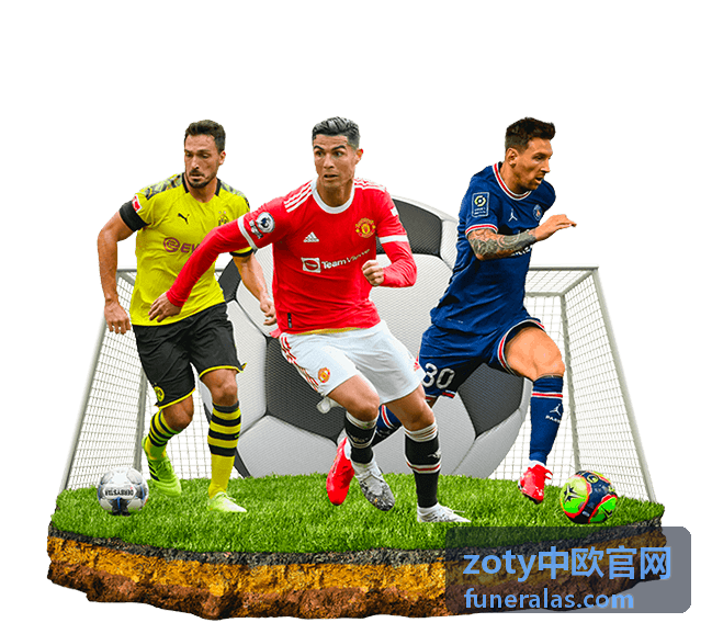 zoty中欧官网 财税记账与年度申报服务配图