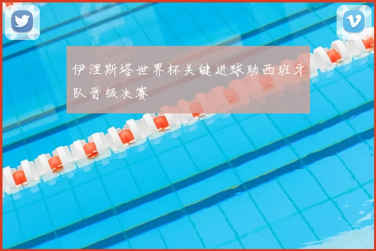 伊涅斯塔世界杯关键进球助西班牙队晋级决赛