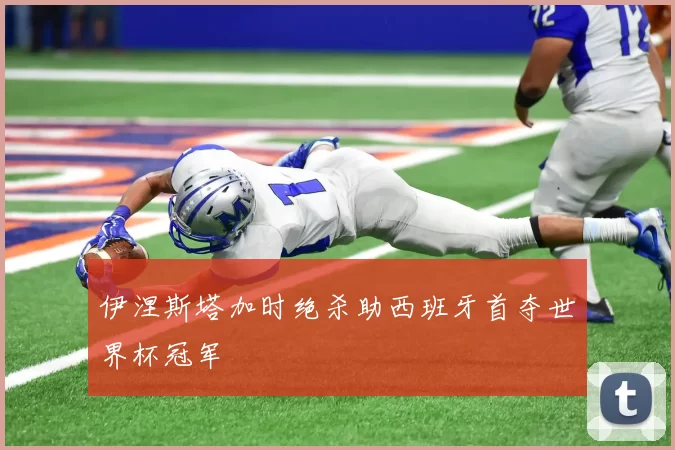 伊涅斯塔加时绝杀助西班牙首夺世界杯冠军