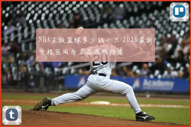 NBA正版篮球多少钱一只 2026最新价格区间与正品选购指南