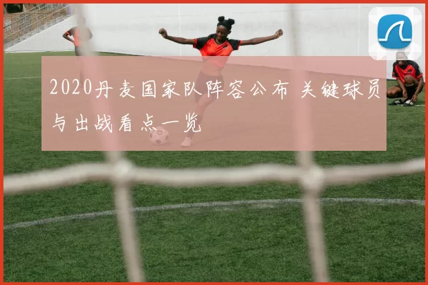 2020丹麦国家队阵容公布 关键球员与出战看点一览