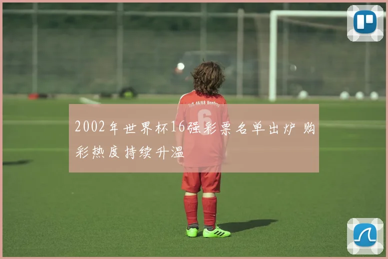 2002年世界杯16强彩票名单出炉 购彩热度持续升温