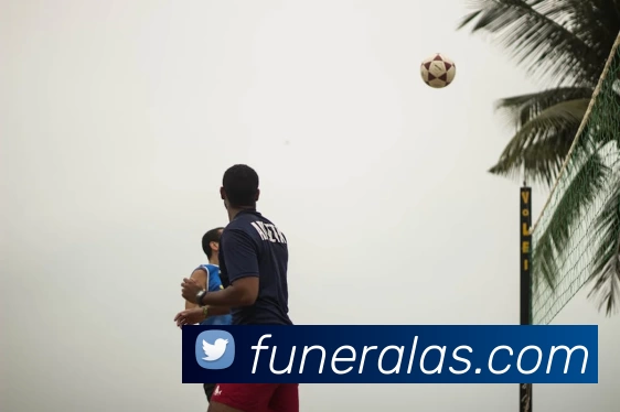 米兰官网地址APP 封面图